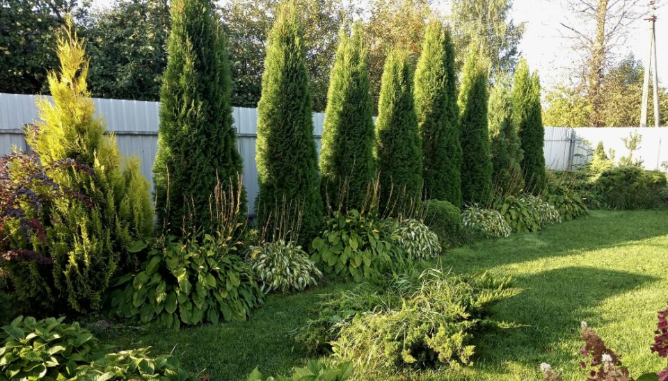 ������ ��� ������ �� � ����