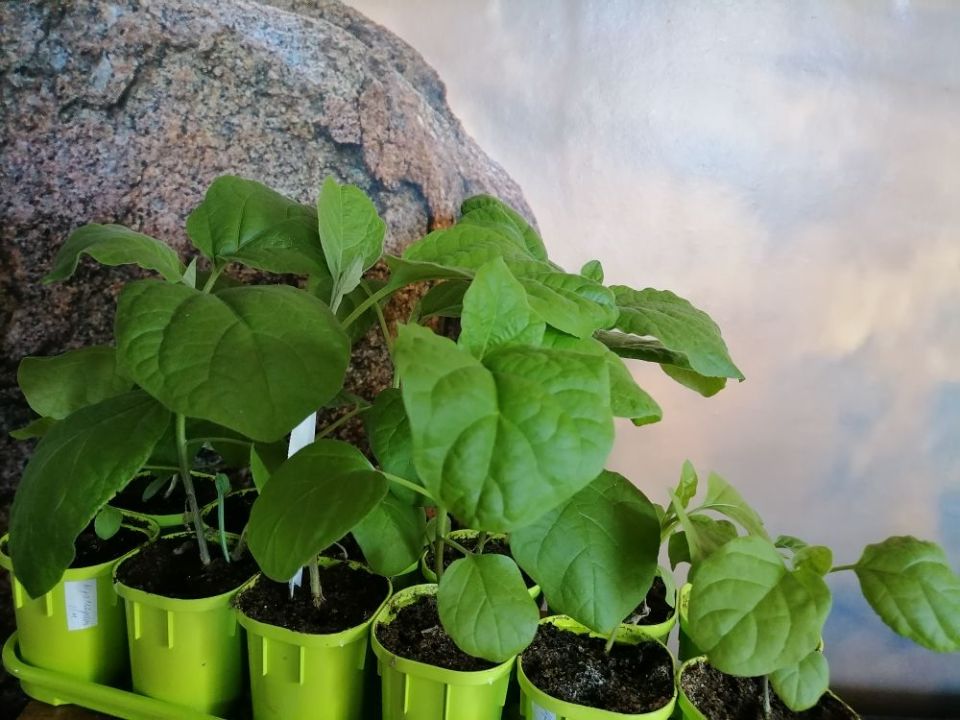 ��������� � ������� �� 23 ������